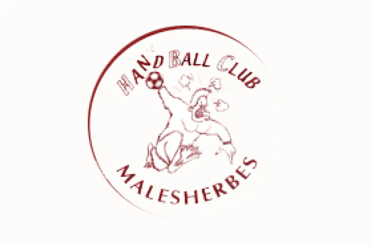 Girard Ouvrage Bois Sas Charpente Bois A Orleans Hand Ball Club Malesherbes
